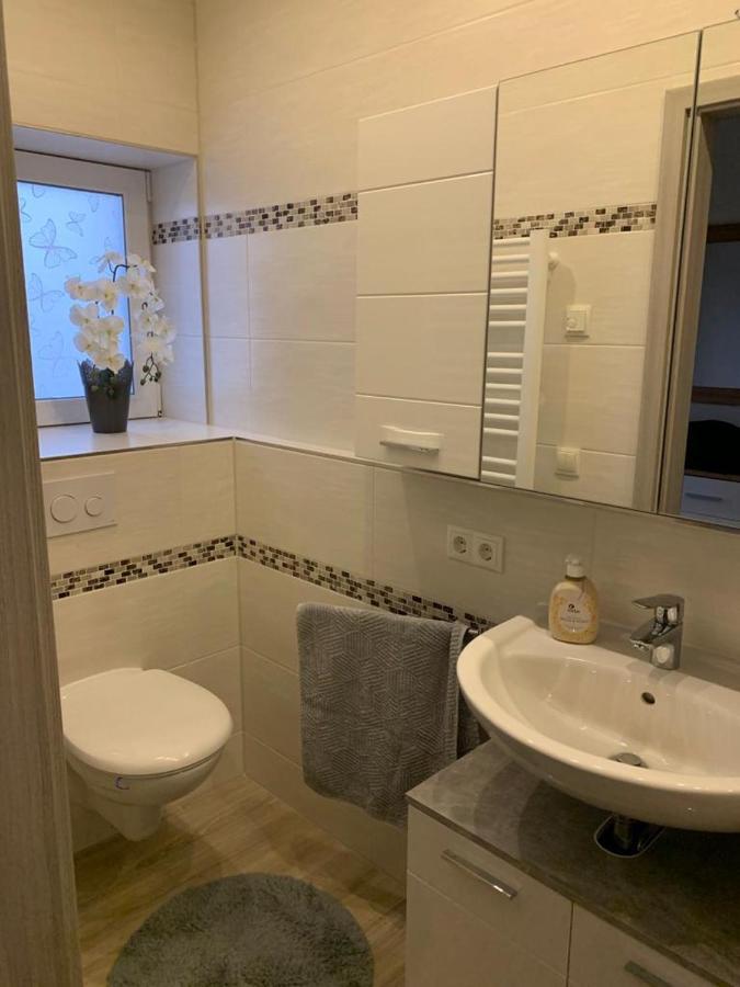 2Raum-Apartment Leznew Lipsko Exteriér fotografie